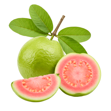 Guava